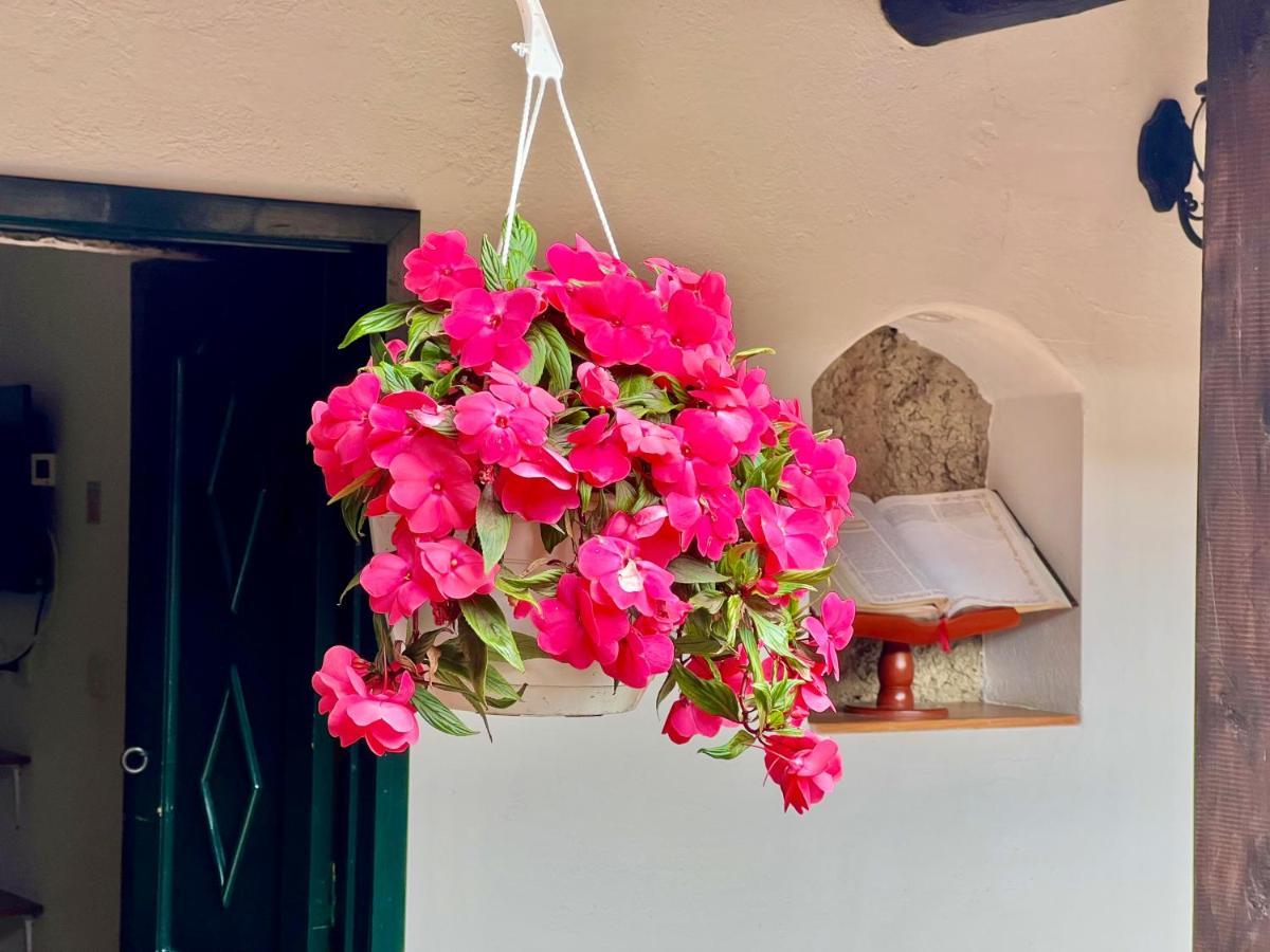 Hotel San Gabriel El Cocuy 외부 사진